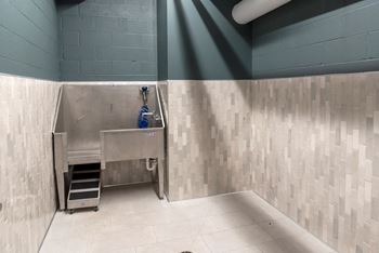 Pet wash